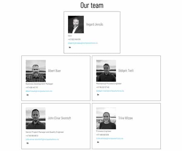 A company team page displays profile photos, names, job titles, contact numbers, and LinkedIn icons for five team members, including the CEO at the top.